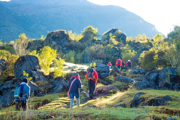 group-of-hikers-with-backpacks-on-a-green-mountain-2023-11-27-04-48-55-utc